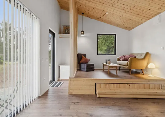 Newly Built Tiny House In Djursland